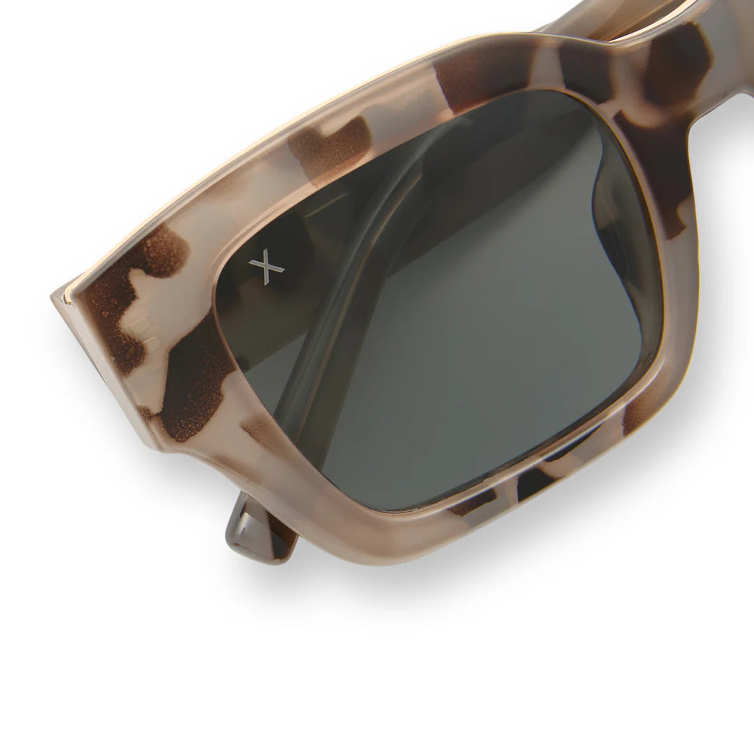 Amore Oat Tort + Grey Polarized