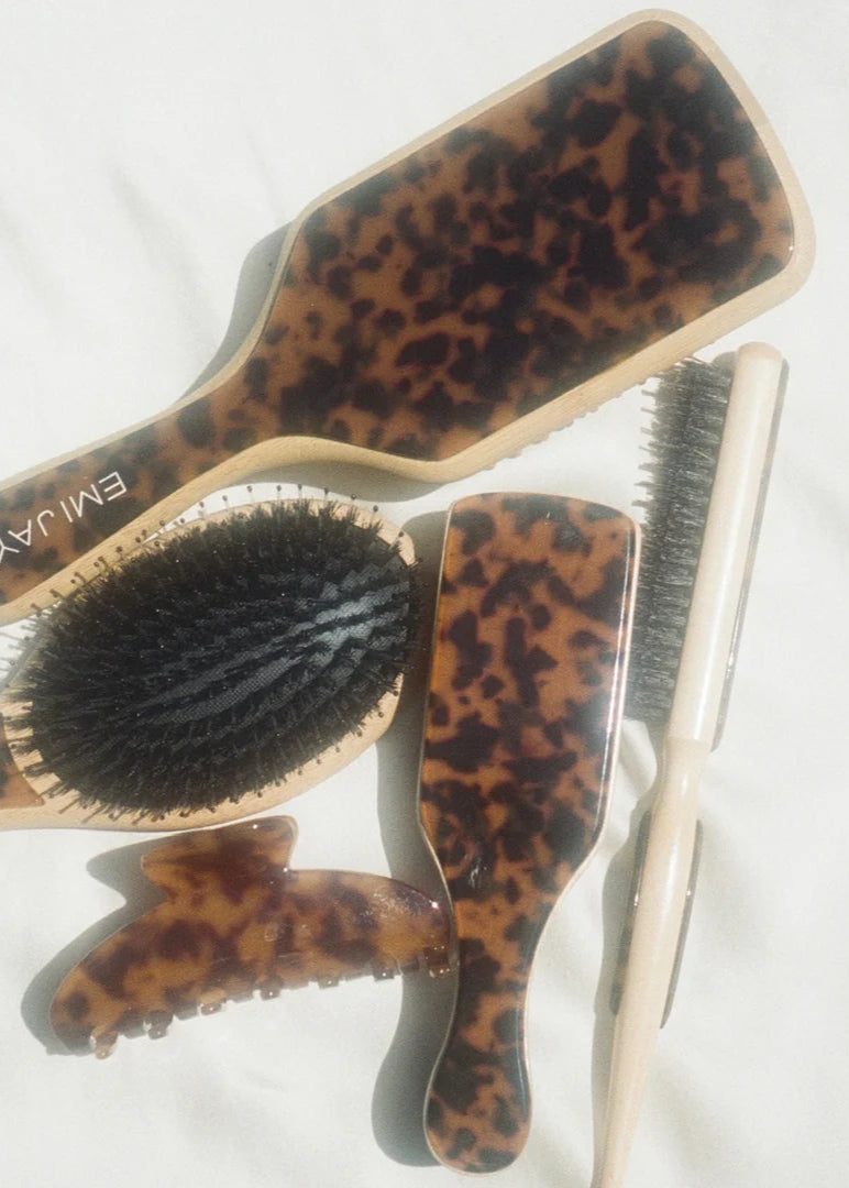 Set of hairbrushes with tortoiseshell handles on a white background