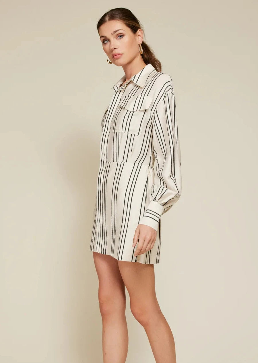 Freddie Stripe Mini Dress