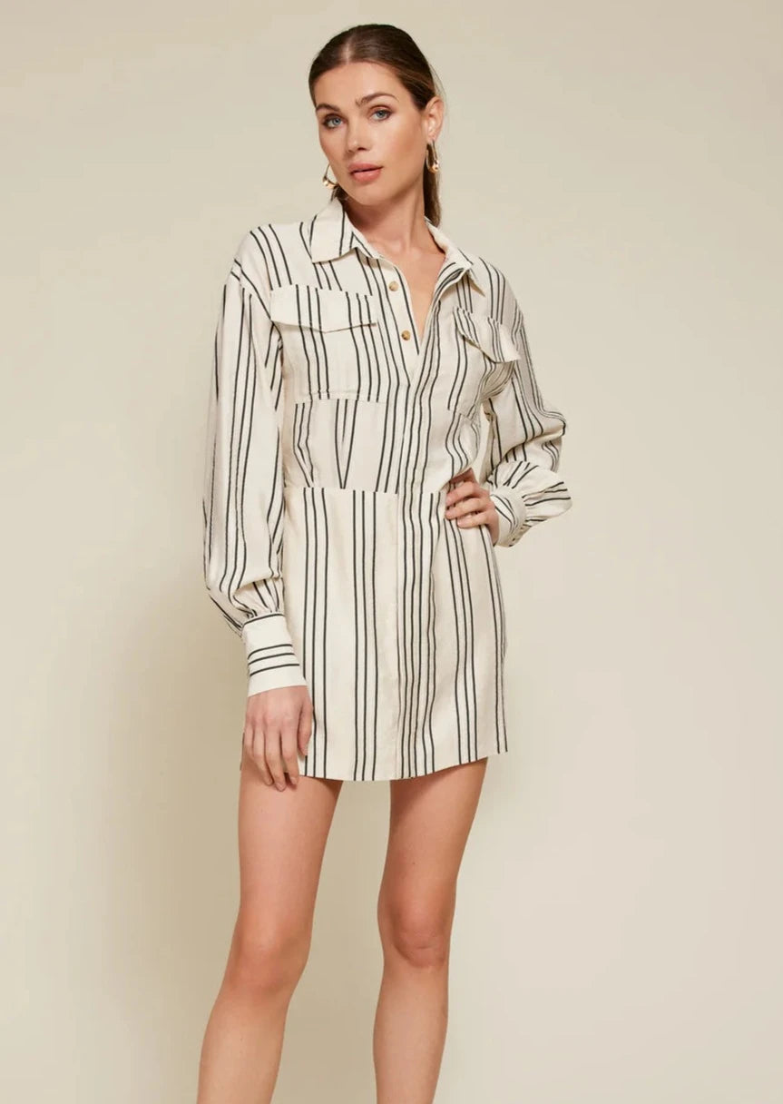 Freddie Stripe Mini Dress